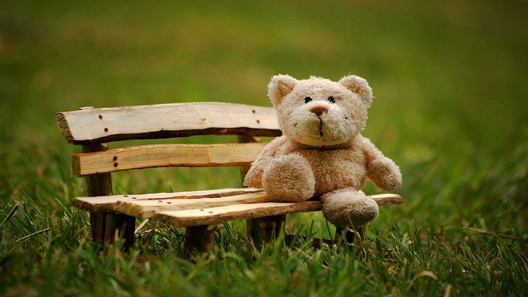 34 Teddy Bear Quotes: The Most Lovable of All Toys - Voices From The Blogs