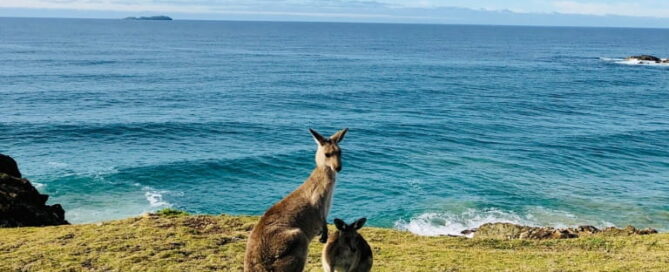 Activities and Attractions for Your Next Trip to Australia