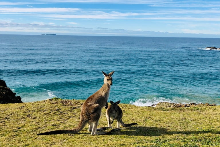 Activities and Attractions for Your Next Trip to Australia